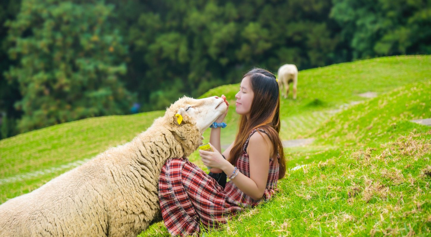End Speciesism